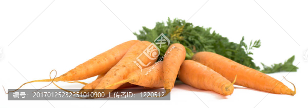 胡蘿卜