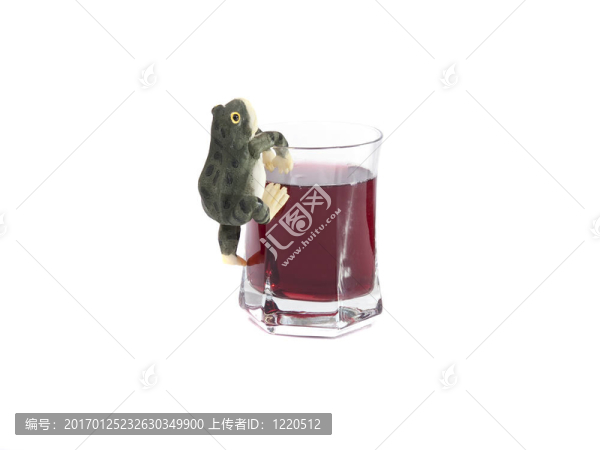 青蛙在白色的酒玻璃上
