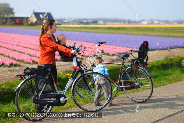 騎自行車在郁金香田野