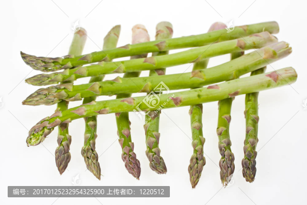 蘆筍