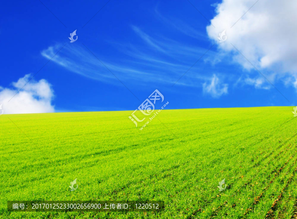 美麗的風(fēng)景