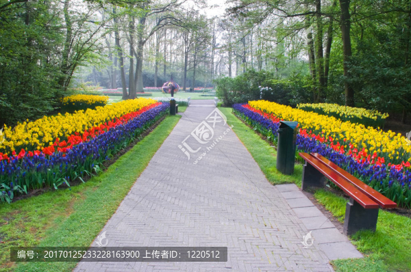 春花之路