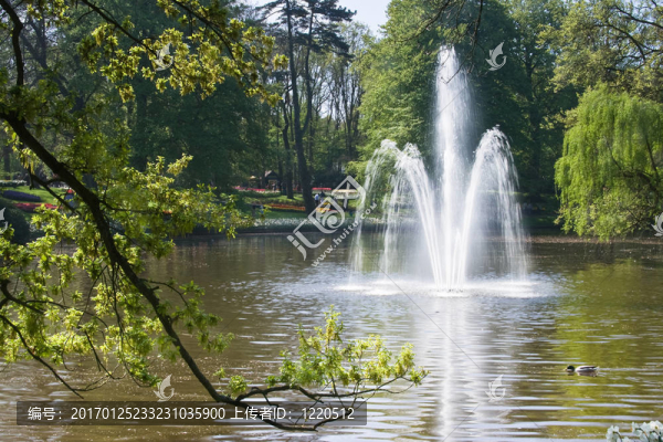 公園池塘里的噴泉