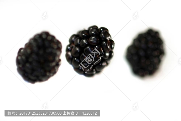 黑莓