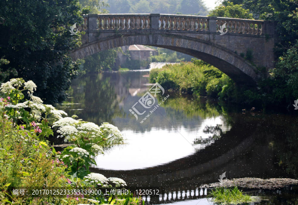 靜止水域的橋