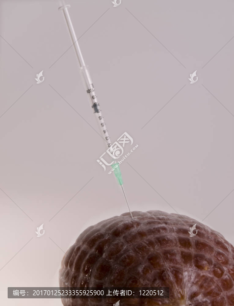 豬流感pendemy
