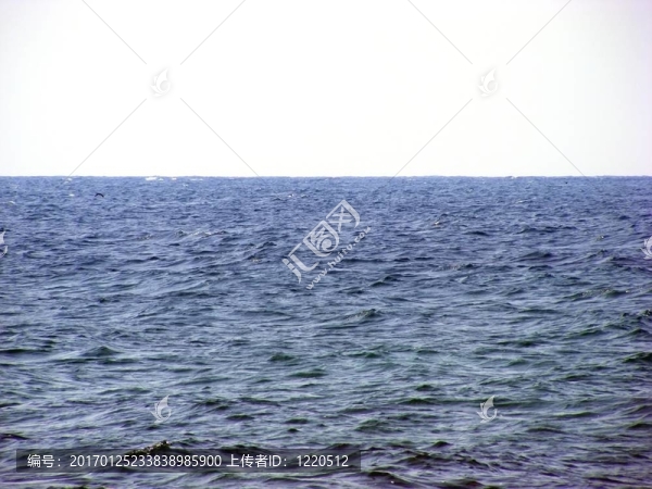 水景