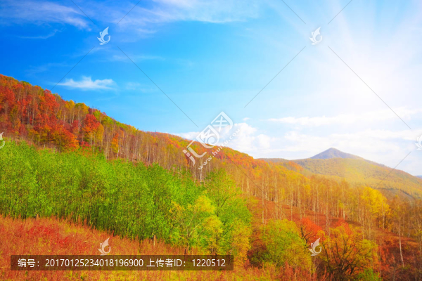 秋天的顏色