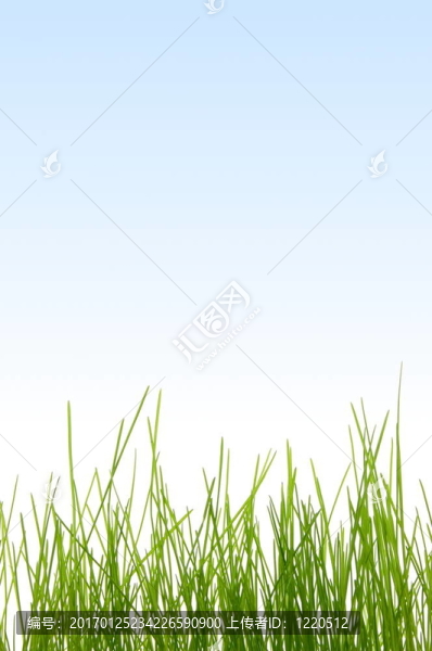 草