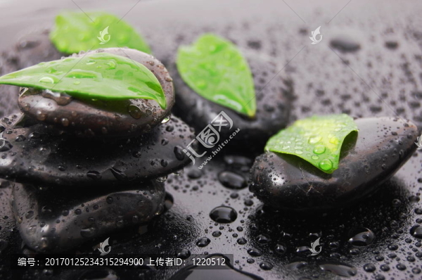 禪石養(yǎng)生觀