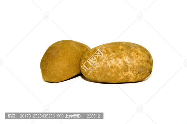兩個白色的土豆