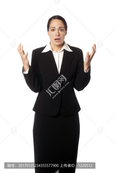 商業(yè)女性
