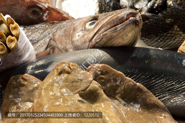 魚市場