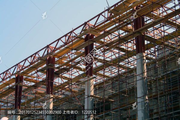 建設(shè)森林