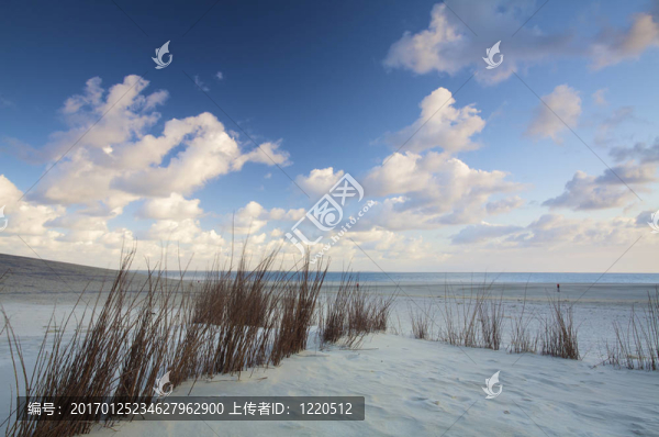 沙丘和海灘日落在荷蘭與藍(lán)天白云