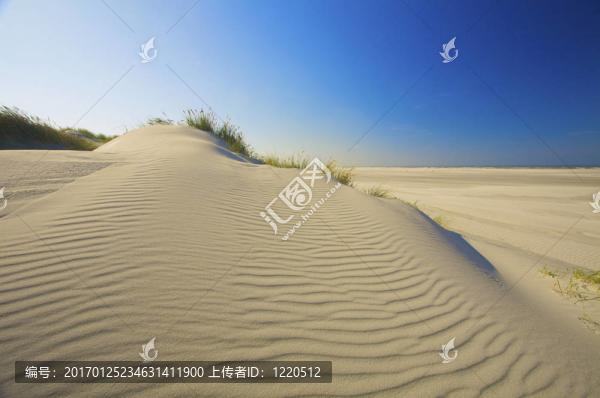 在沙灘上沙丘在荷蘭的海灘在春天與藍天