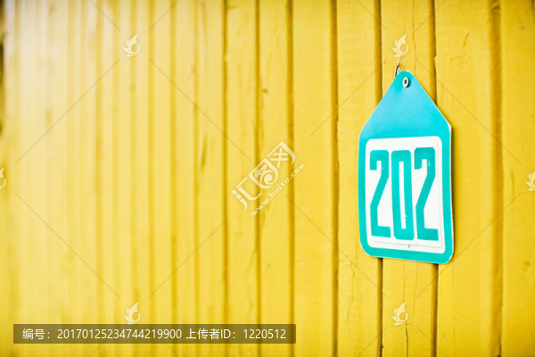 202號