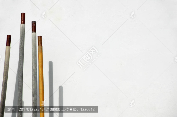 棍枝