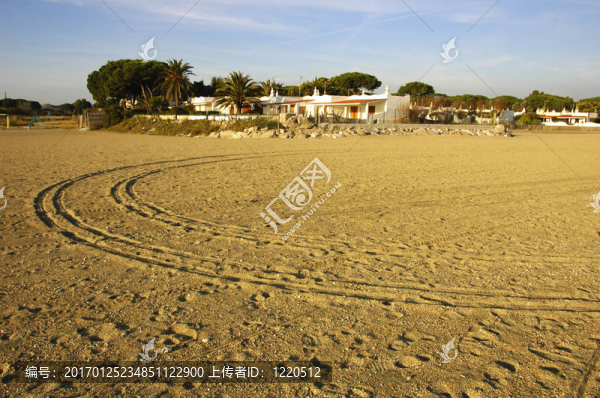 海灘
