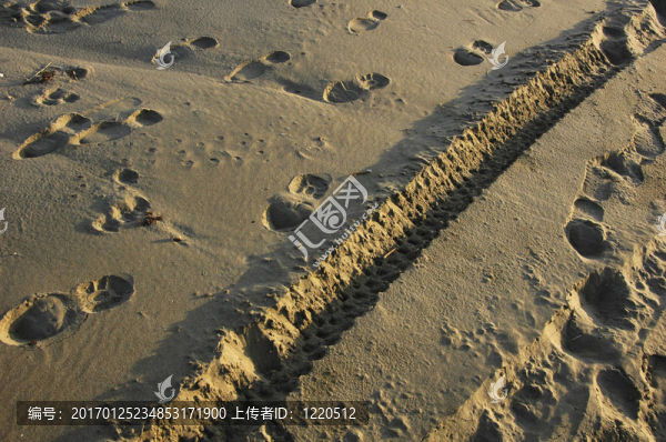 軌道-匯圖網(wǎng) www.fosd68.com 軌道