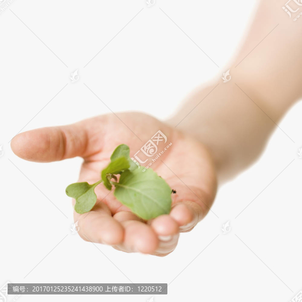 綠色的大拇指