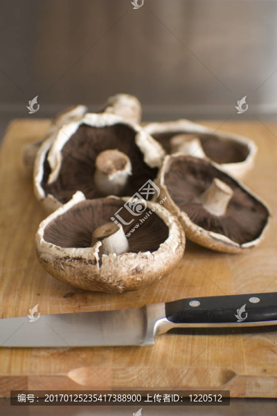 新鮮生農(nóng)產(chǎn)品；蘑菇