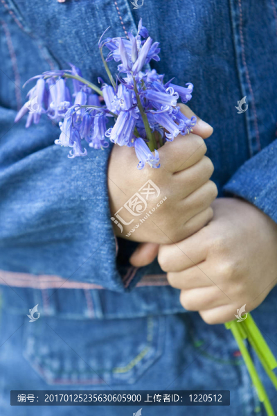 一束花的小女孩