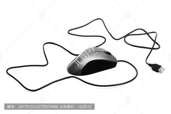 帶輪子的老鼠