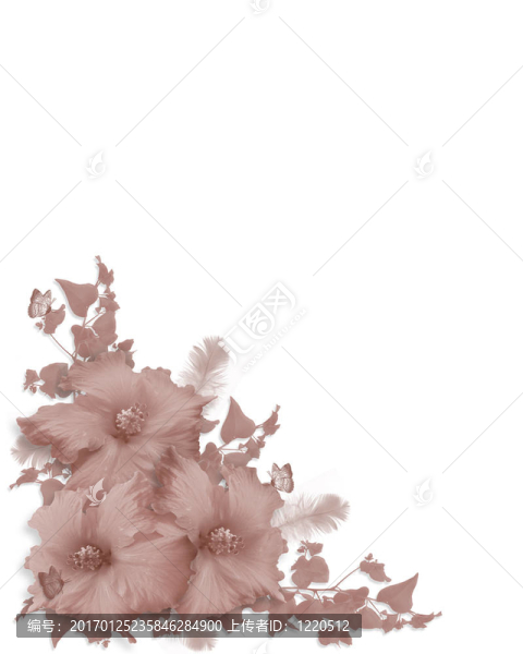 粉紅色的芙蓉邀請(qǐng)角