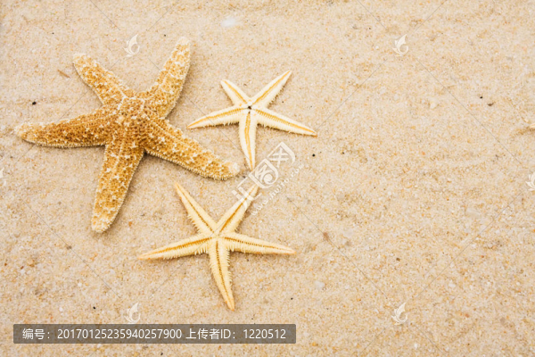 海星的邊界