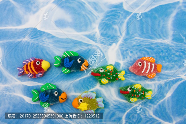 多彩的魚(yú)的邊界