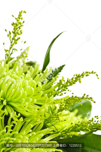 插花