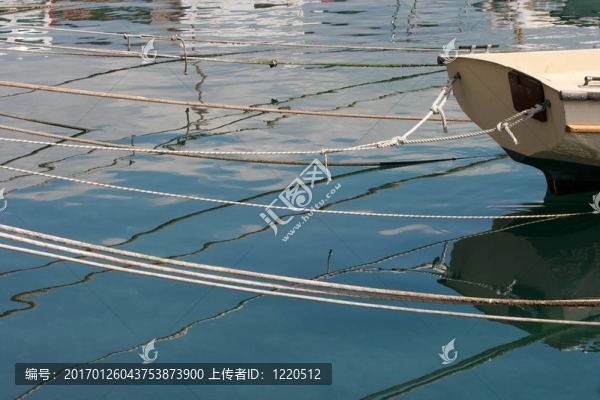 海