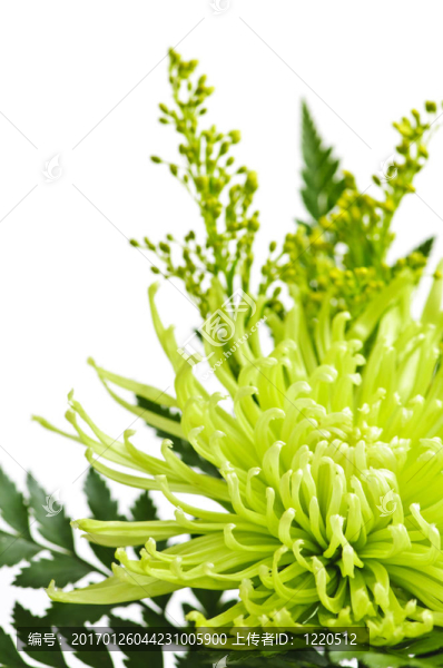 插花
