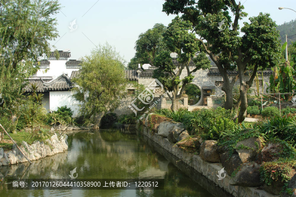 樹(shù)在中國(guó)