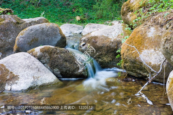 森林溪流