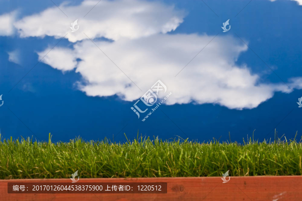 草