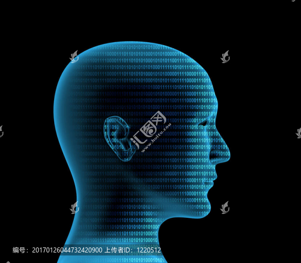 從二進制代碼的3D人類配置文件