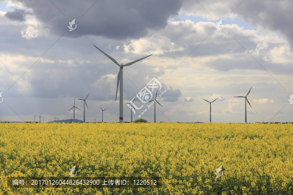 風(fēng)力發(fā)電廠