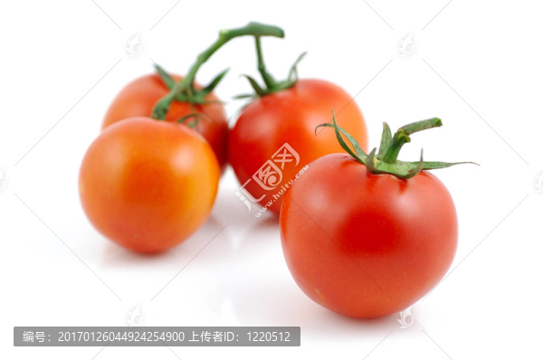 鮮紅色的西紅柿