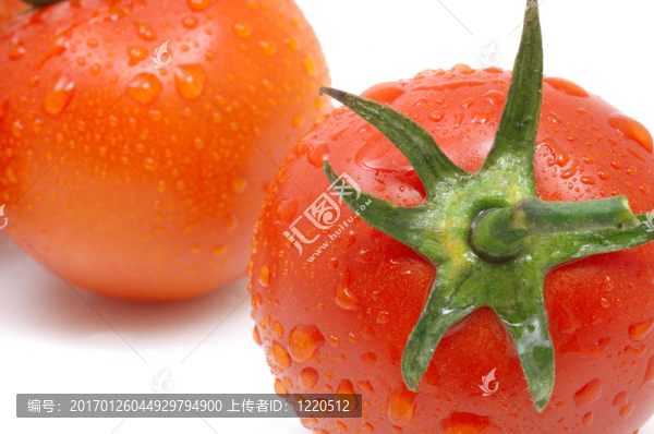 水滴番茄