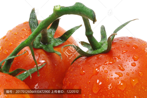 水滴番茄
