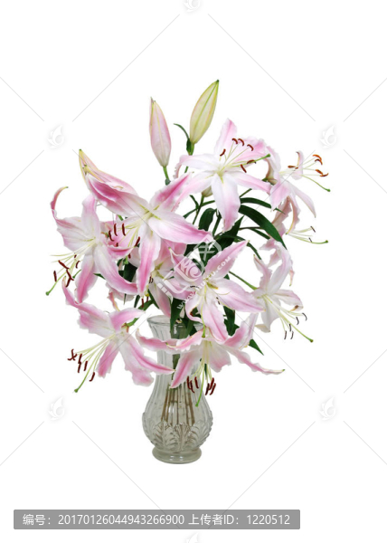 水晶花瓶中的粉紅色和白色的百合花