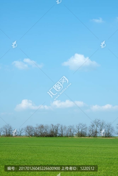 場