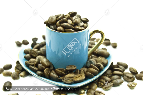 咖啡種子杯