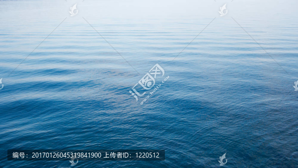 水