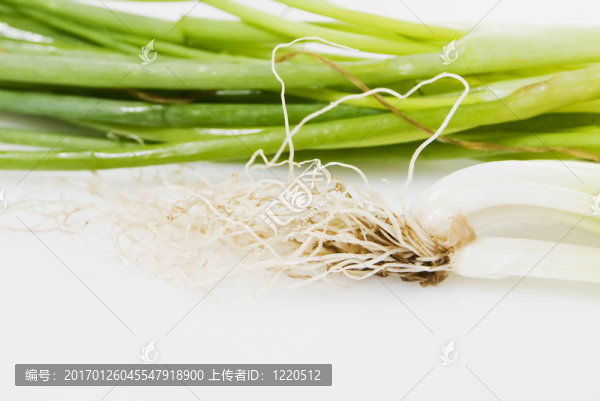 蔥