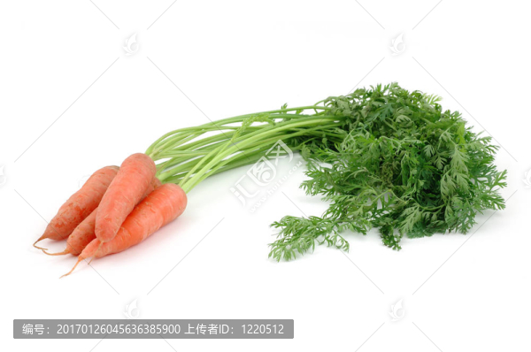 把胡蘿卜