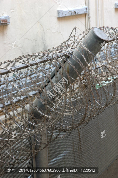 鐵絲網(wǎng)圍欄