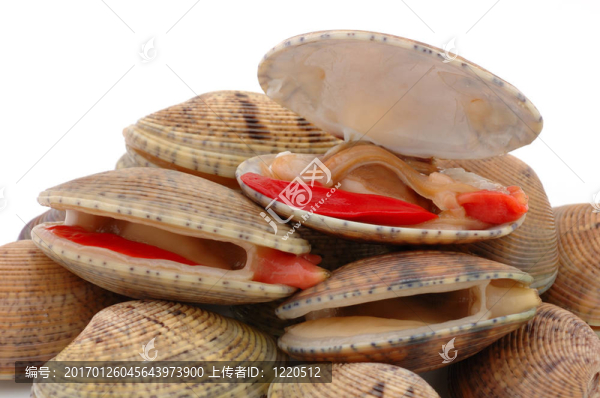 開(kāi)蛤蜊的特寫(xiě)-匯圖網(wǎng) www.fosd68.com 開(kāi)蛤蜊的特寫(xiě)